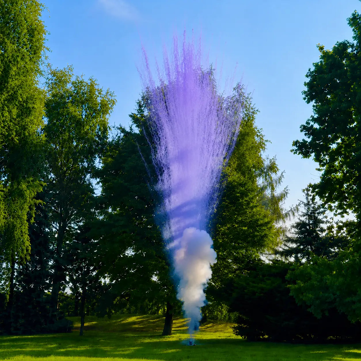 TD6 Rauchkometen - violett